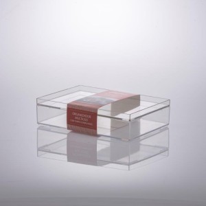 ORGANIZADOR C/ TAMPA EMPILHAVEL 1309 25X17X6,7 CM PARAMOUNT