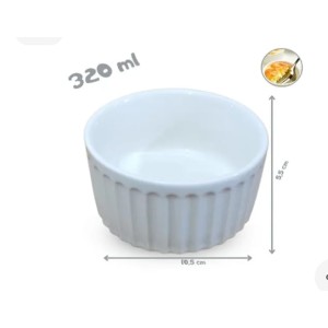 RAMEQUIM 320ML REF-110 R.R