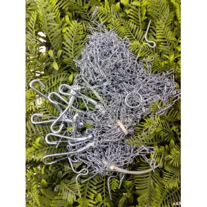 CORRENTE CAO Nº 07 SAO RAPHAEL